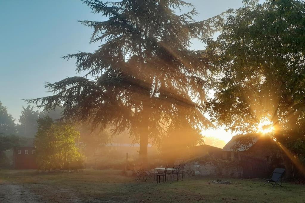 Gite En Bord De Loire Blaison-Saint-Sulpice ภายนอก รูปภาพ